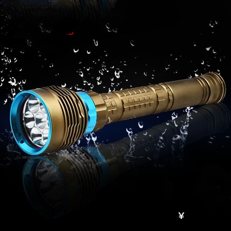 Lampe de Plongée Professionnelle